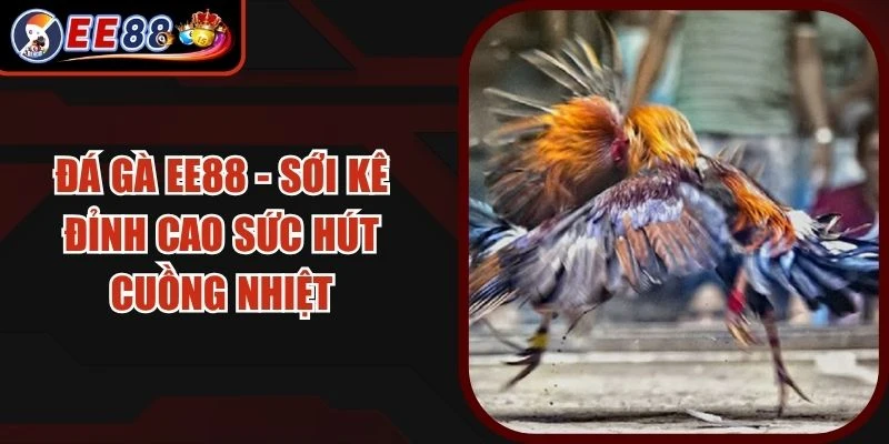 Đá Gà EE88